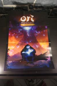 Ori and the Blind Forest - édition définitive - édition limitée (15)